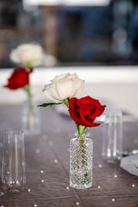 AVENTZ Co. Connecticut Event Wedding Planner. Abby Fritz Connecticut Wedding Designer Backyard weddings CT Private Events Design Weddings Intimate J. Parsons Photography193 scaled