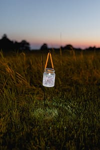 AVENTZ Co. Connecticut Event Wedding Planner. Abby Fritz Connecticut Wedding Designer Backyard weddings CT Private Events Design Weddings Intimate Marie Cowan Photography17 scaled