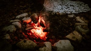 AVENTZ Co. Connecticut Event Wedding Planner. Abby Fritz Connecticut Wedding Designer Backyard weddings CT Private Events Design Weddings Intimate Chasidity Photo99 scaled