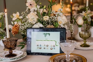 AVENTZ Co. Connecticut Boutique Event Wedding Planner. Abby Fritz Connecticut Event Designer Southington CT Wonderland Photography 399 1 scaled