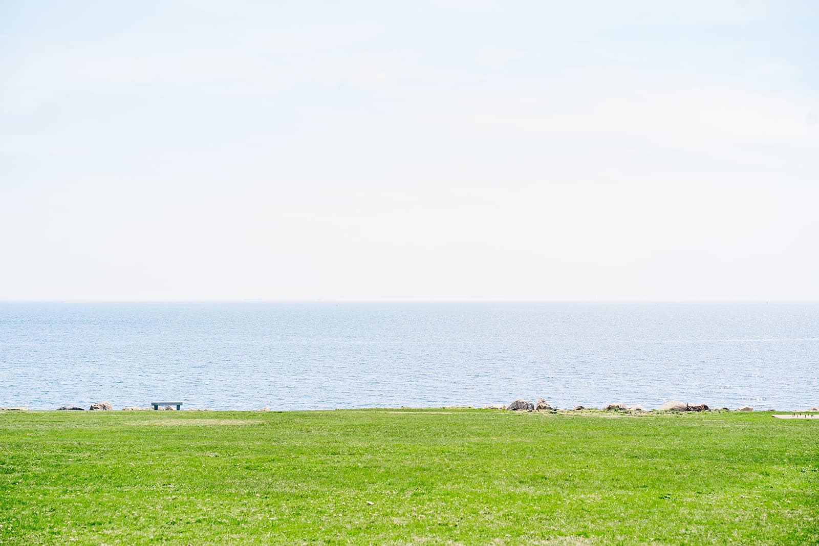 AVENTZ Co. Connecticut Event & Wedding Planner. Abby Fritz Connecticut Wedding Designer, Backyard weddings, CT Private Events, Design, Weddings, Intimate | Molly Mia Photo & Film