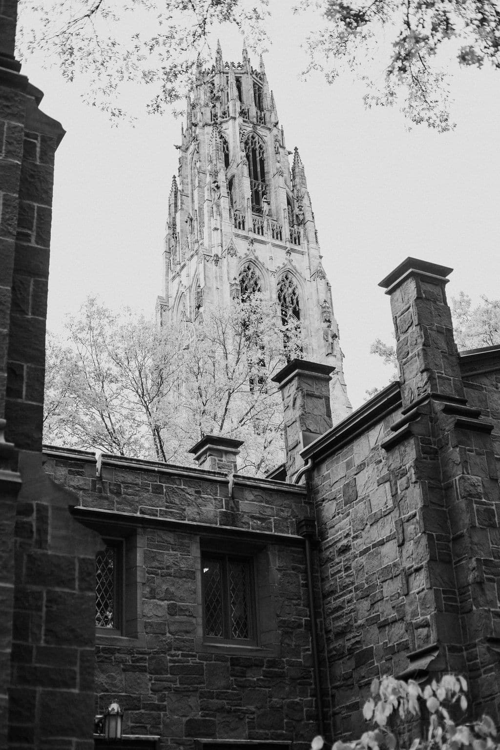 AVENTZ Co. Connecticut Event & Wedding Planner. Abby Fritz Connecticut Wedding Designer. YALE Wedding New Haven Connecticut Bridget Stasko Photo